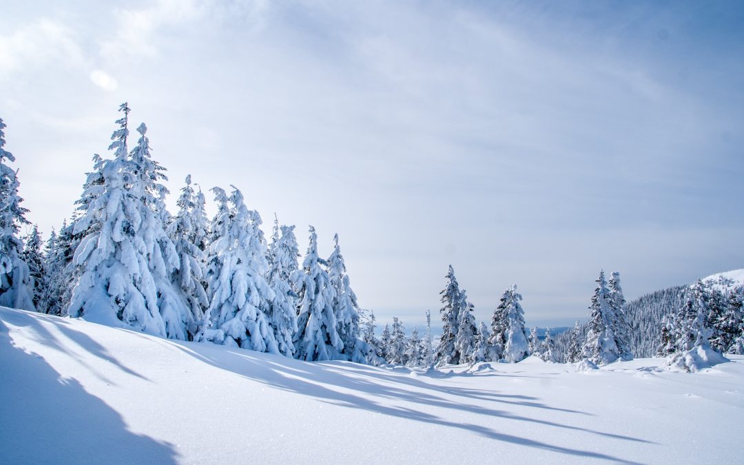 BLANC COMME LA NEIGE