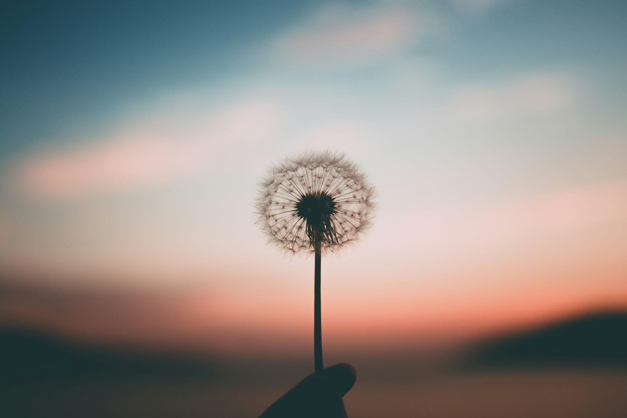 il y a de l'espoir